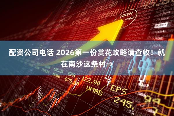 配资公司电话 2026第一份赏花攻略请查收！就在南沙这条村→